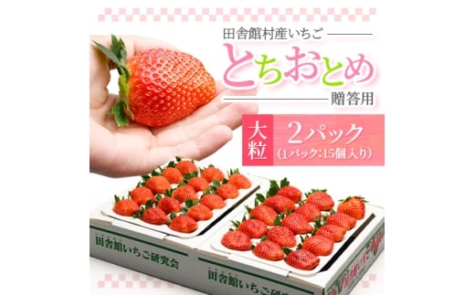 田舎館村産いちご とちおとめ＜大粒＞ 贈答用【1637919】