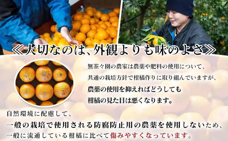 【先行予約】＜無茶々園のポンカン 約5kg＞ 果物 くだもの フルーツ ぽんかん みかん 蜜柑 柑橘類 かんきつ 旬 甘い 濃厚 新鮮 期間限定 季節限定 産地直送 特産品 愛媛県 西予市 【常温】『