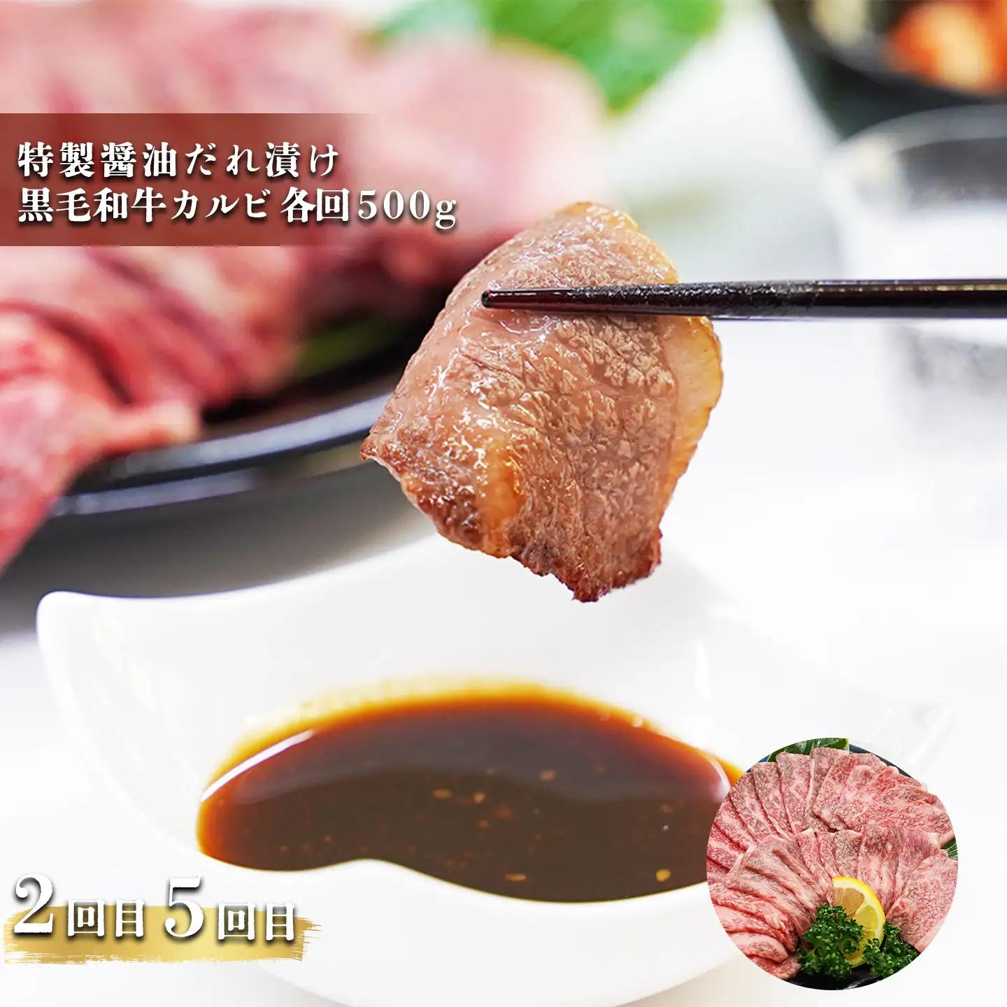 定期便 全6回 牛肉 お楽しみ定期便 計3kg