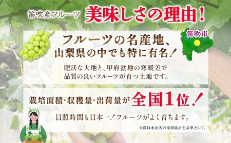 ＜25年発送先行予約＞シャインマスカット 2房 1.2kg前後※クール便配送 177-009