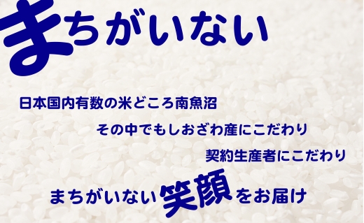 【定期便】生産者限定 契約栽培　南魚沼しおざわ産コシヒカリ（5Kg×6ヶ月）