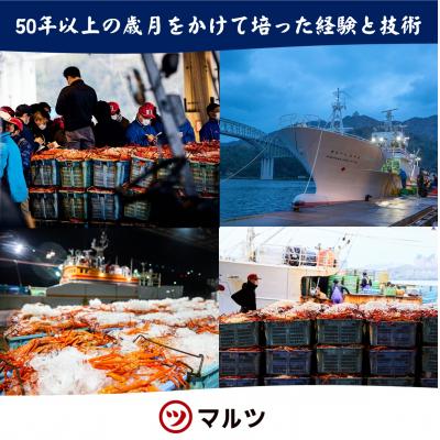 ふるさと納税 米子市 活〆ボイル松葉蟹 900g以上×1杯　【マルツPREMIUM】 |  | 03