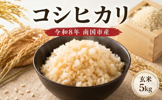 令和8年度 南国市産 コシヒカリ 玄米 5㎏ | 数量限定 米 コメ お米 ご飯 おにぎり こめ キロ 弁当 南国市米 高知県 南国市