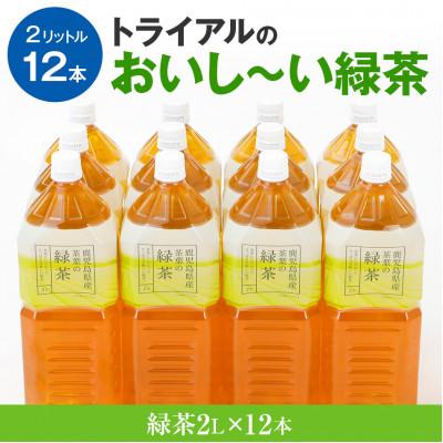 ふるさと納税 田川市 トライアルのおいし〜い緑茶(2L×12本)