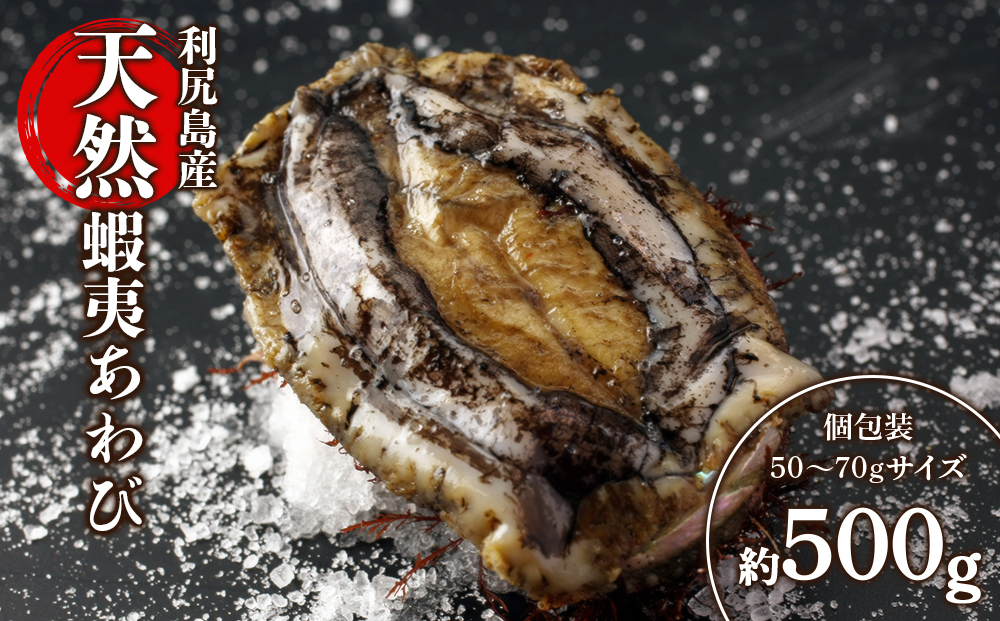 天然蝦夷あわび 500g（小）＜利尻漁業協同組合＞