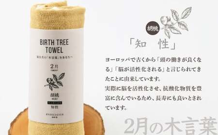 2月「胡桃(クルミ)」の木言葉 「知性」 BIRTH TREE TOWEL |  ガーゼ ガーゼ ガーゼ ガーゼ ガーゼタオル ガーゼハンカチ タオル ハンカチ ふわふわ 草木染 染め RYOKUSU