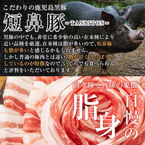 a1039 鹿児島黒豚「短鼻豚」黒豚味噌(瓶入り120g×2個) 【鹿児島ますや】 姶良市 無添加 国産 豚肉 豚みそ 肉味噌 ごはんのおとも ご飯のお供 瓶詰め おつまみ