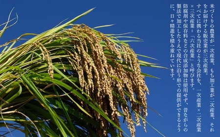 特栽つきあかり 玄米5kgを精米したて白米発送