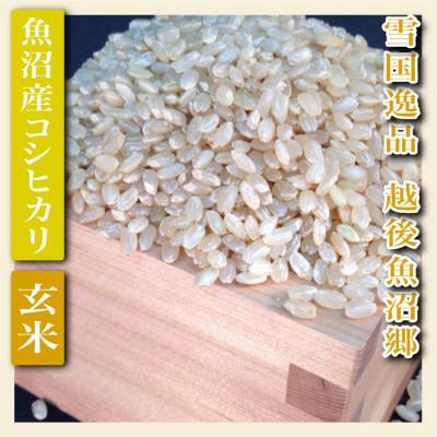 ふるさと納税 魚沼市 【毎月定期便】【雪国逸品 玄米5Kg】越後魚沼郷 魚沼産コシヒカリ全6回 |  | 01