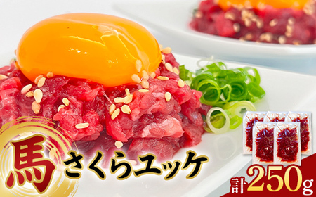 馬さくら ユッケ 250g (50g×5) 馬肉 小分け 冷凍 九州 熊本県 球磨村 FKP9-617