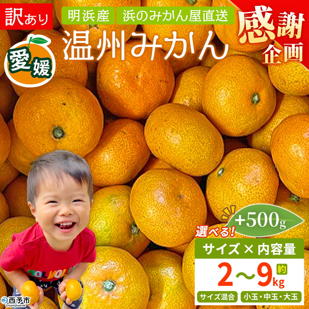 【ふるさと納税】【感謝企画】+500g＜訳あり 温州みかん 約2/3/4/5/9kg＞『2026年11月上旬〜2026年12月中旬迄に順次出荷』 選べる S M L 小玉 中玉 大玉 明浜産 果物 フルーツ 蜜柑 うんしゅうみかん ウンシュウミカン 柑橘 家庭用 浜のみかん屋 直送 愛媛県 西予市【常温】