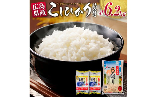 広島県産こしひかり（5kg）パックご飯（200g×3食×2パック）詰合せセット