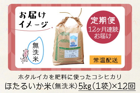 【訳あり】ほたるいか米（無洗米５kg）×12回 計60kg【12ヶ月定期便】