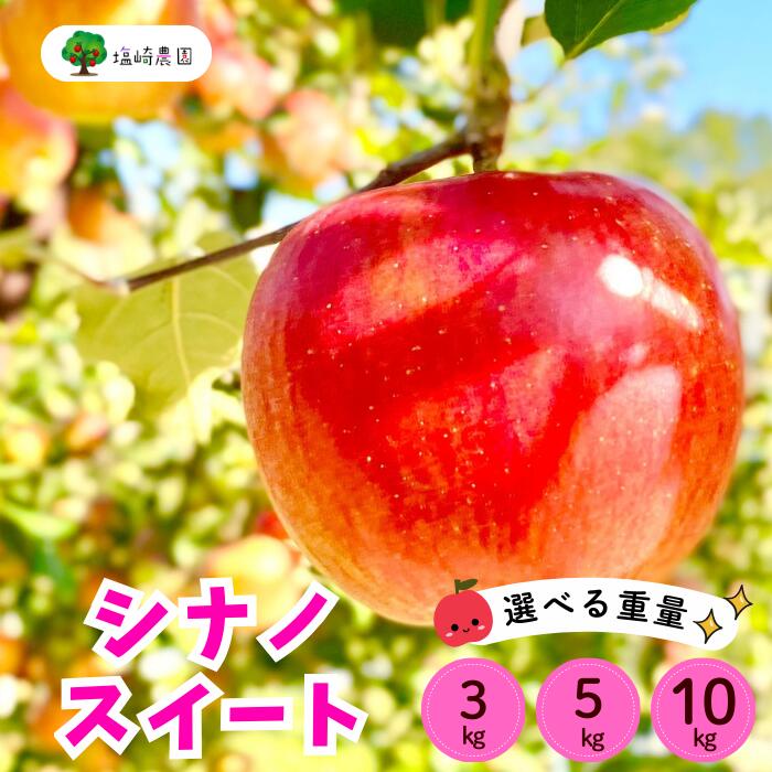 【ふるさと納税 】＜2025年先行予約＞信州 りんご シナノスイート選べる3kg 5kg 10kg＜出荷開始：2025年10月中旬～下旬頃＞(7-A24-1-2-3)【 りんご フルーツ 長野県 飯山市 ギフト プレゼント 父の日 母の日 敬老の日 記念品 シナノスイート リンゴ 林檎 くだもの 果物】