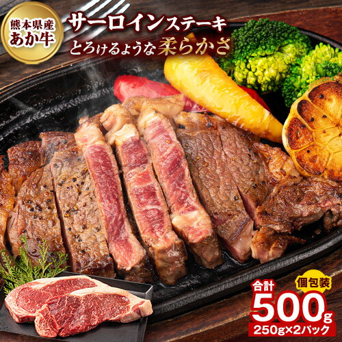 【ふるさと納税】あか牛（褐毛和牛） サーロイン ステーキ 500g 牛肉 冷凍《5月中旬-6月中旬頃出荷予定》ふるさと納税