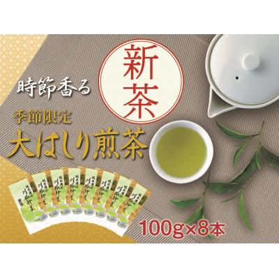 ふるさと納税 川根本町 坂本園の新茶 静岡川根茶大走り新茶100g×8本【5月上旬〜6月末発送】