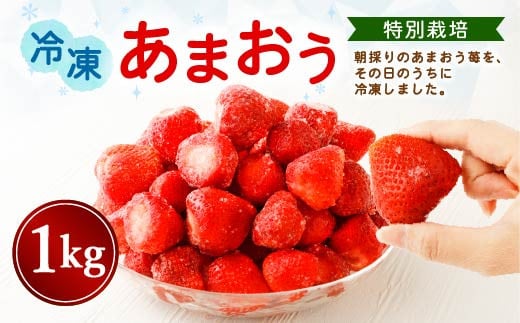 【特別栽培】うるう農園 冷凍あまおう 1kg あまおう イチゴ いちご 苺 フルーツ 果物