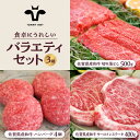 【ふるさと納税】【牧場直送】佐賀牛 食卓にうれしいバラエティ セット（切り落とし 500g＆ハンバーグ4個＆サーロインステーキ 400g）【有限会社佐賀セントラル牧場】 [IAH206]