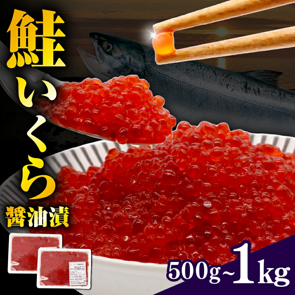 【ふるさと納税】鮭いくら 醤油漬け 【内容量が選べる】( 500g 1kg ) 小分け お試し（いくら 鮭いくら 醤油漬 いくら醤油漬け ikura いくら丼 海鮮丼 魚卵 鮭卵 訳あり 大容量魚介類 海鮮 海鮮セット 海産物 冷凍 北海道 えりも町