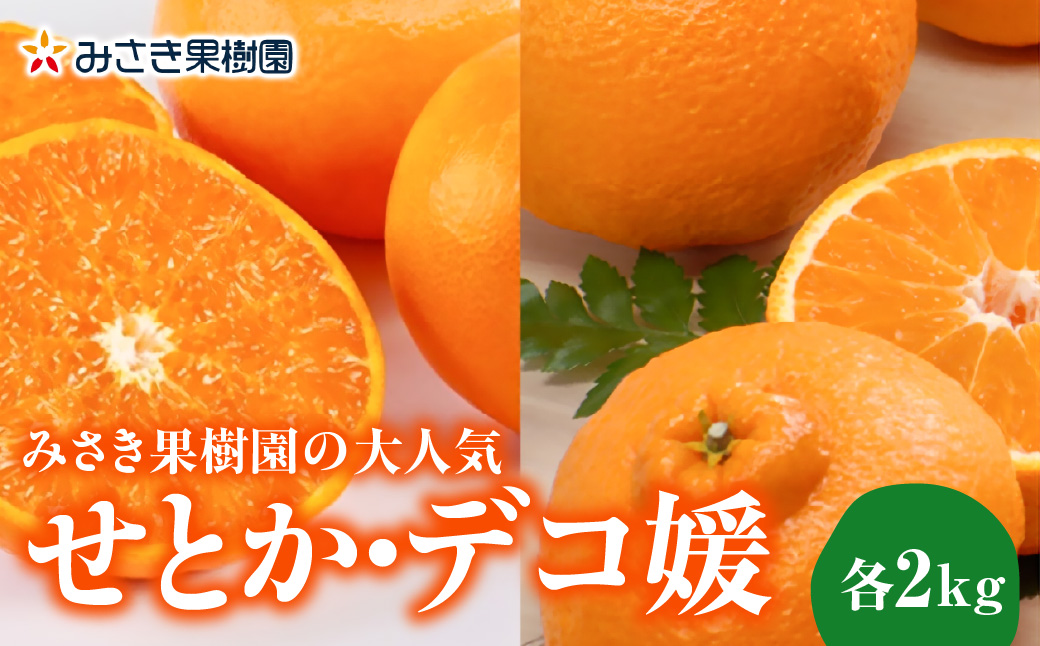 【先行受付】みさき果樹園の大人気せとか・デコ媛各2kg【C21-60】YWTBC041
