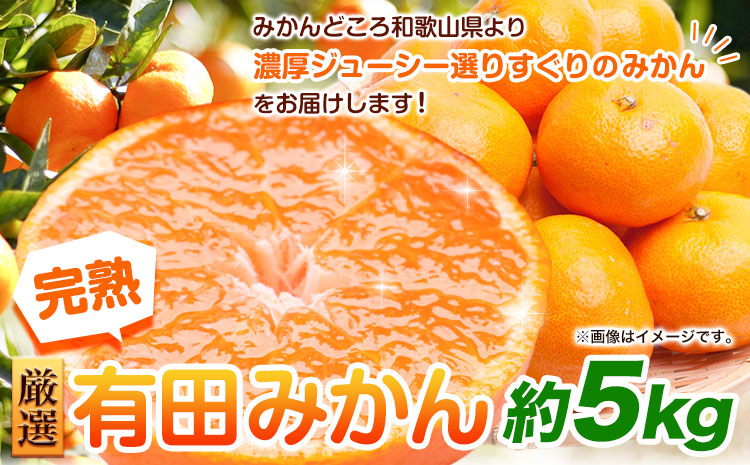 ＜先行予約＞厳選　完熟有田みかん5kg+250g（傷み補償分）【光センサー選果】 池田鹿蔵農園@日高町（池田農園株式会社）《11月中旬-1月下旬頃出荷》和歌山県 日高町【離島配送不可】