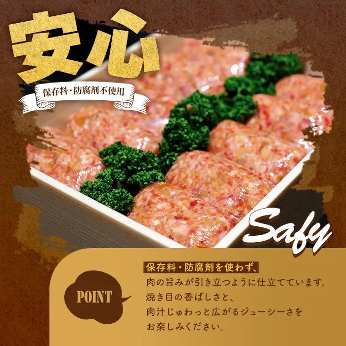 ハンバーグ 手作り たにぼくバーグ 10個 ハンバーグ