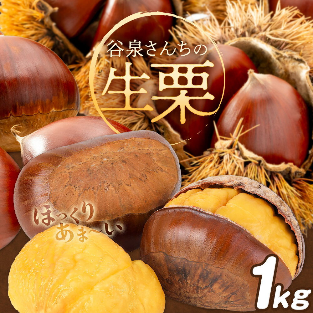 【ふるさと納税】【数量限定】栗 生栗 くり 谷泉さんちの生栗 1kg 谷泉功《10月上旬-10月末頃出荷》徳島県 佐那河内村 送料無料 クリ 旬 秋 果物 栗ごはん スイーツ お取り寄せ【配送不可地域あり】(離島)