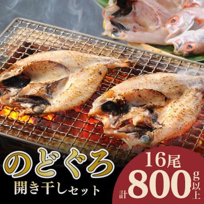ふるさと納税 下関市 のどぐろ 開き干し セット 計 800g up 冷凍 16尾 AS138-NT