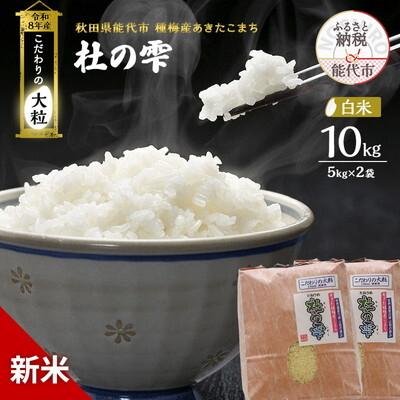 ふるさと納税 能代市 先行予約 新米 令和8年 あきたこまち 10kg 白米 [No.5335-1562]