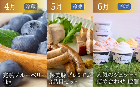 渥美半島の恵み どうまい 定期便 プレミアム 全12回 （ うなぎ いちご 地鶏 名古屋コーチン メロン マスクメロン ブランド豚 田原ポーク ハム ソーセージ ブルーベリー ジェラート とうもろこし