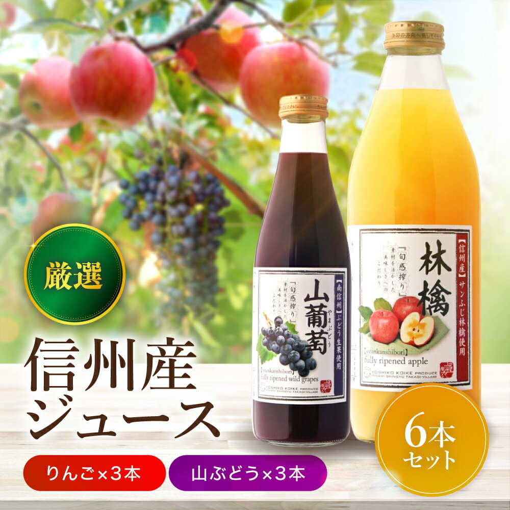 【ふるさと納税】 厳選素材 信州産 ジュース 6本 セット すりおろしりんご×3本 山ぶどう×3本 | 小池手造り農産加工所 りんご すりおろし 山ぶどう 国産 手造り てづくり 健康 飲料 長野県 飯田市 CU6