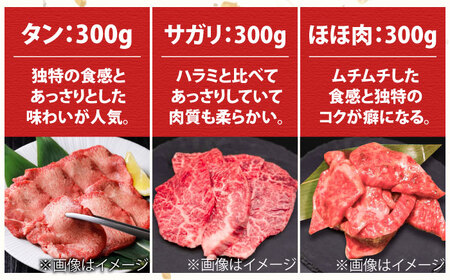 【全6回定期便】佐賀牛6種食べ比べ！ ホルモンバラエティセット 10.8kg 4-5人前  タン・小腸など 吉野ヶ里町/やきとり紋次郎[FCJ105]