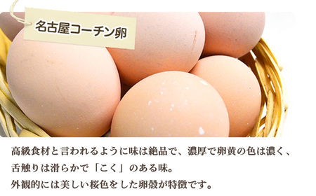 No.213 日本を代表する地鶏　名古屋コーチン卵　40個入
