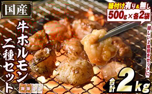 ＜選べる2種＞国産牛ホルモン2種セット(合計2kg) 国産 特産品 牛 小腸 味付 パック 詰め合わせ 詰合せ 炒め物 鍋 モツ おかず お弁当 a-12-44-z