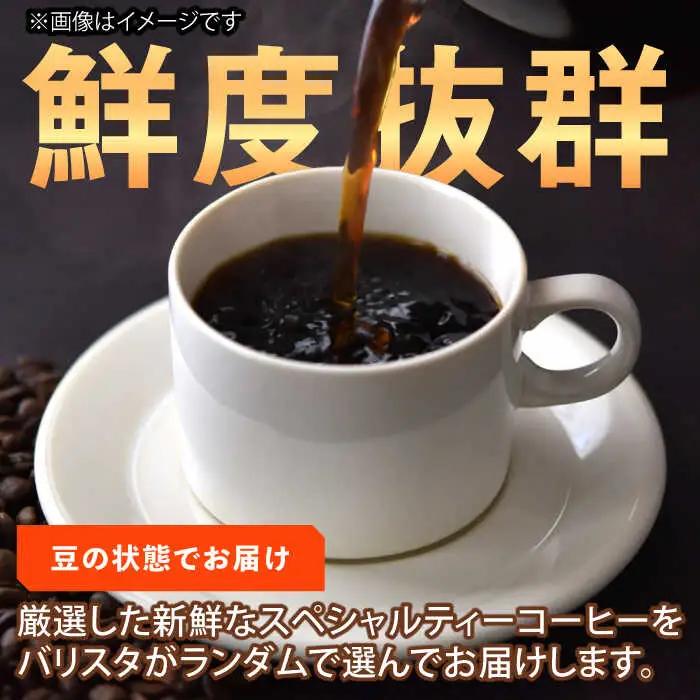 【自家焙煎】コーヒー豆 200g×1 / 珈琲 コーヒー 飲料[AFBJ006]