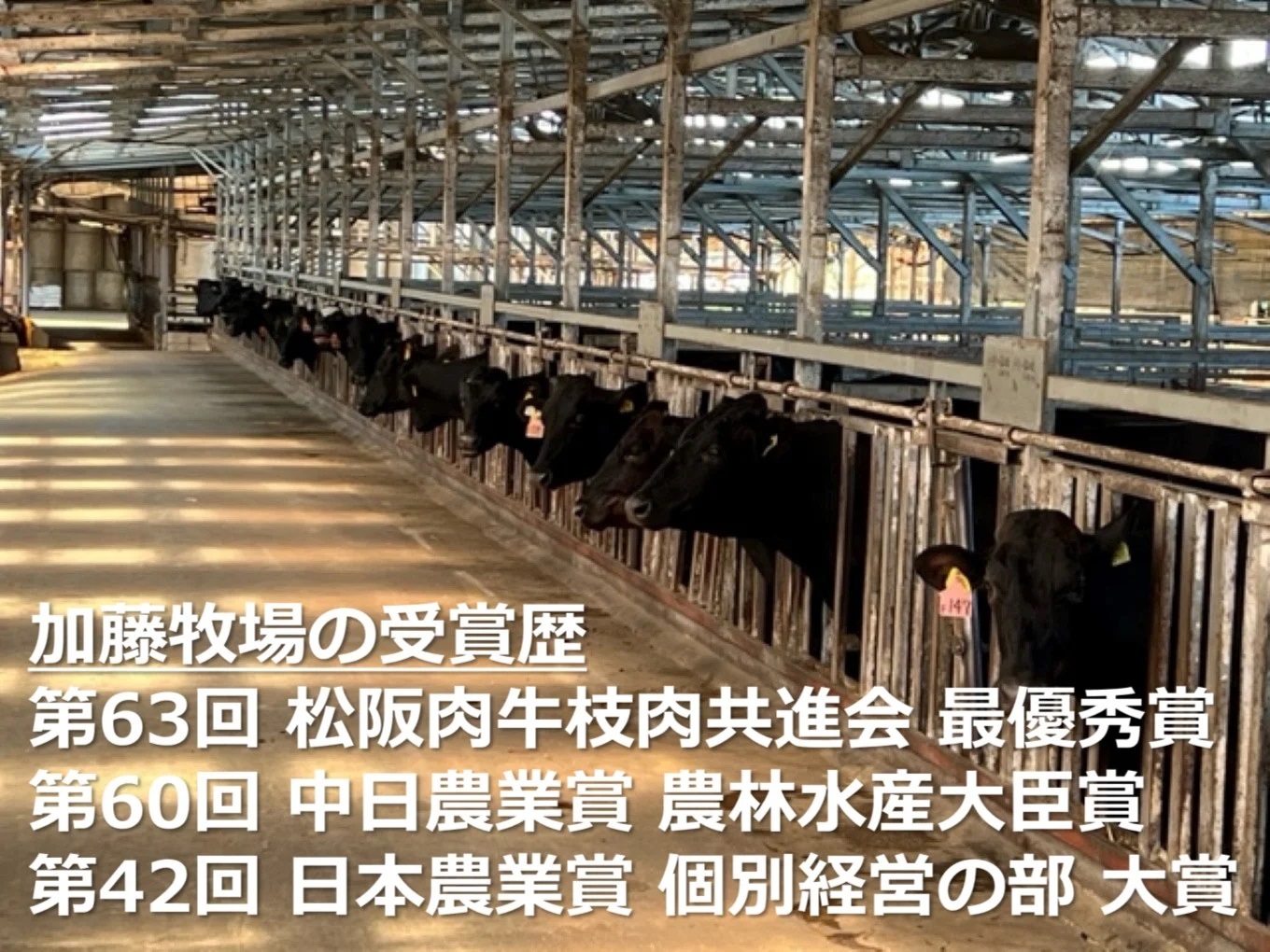 	＜定期便＞松阪牛の品評会で最優秀賞受賞歴のある 加藤牧場の黒毛和牛 ロース・肩ロース 1kg　【２回発送】/ 牛肉　国産牛　黒毛和牛　ロース　肩ロース　肉　上質　人気　おすすめ　三重県　四日市市　ふ