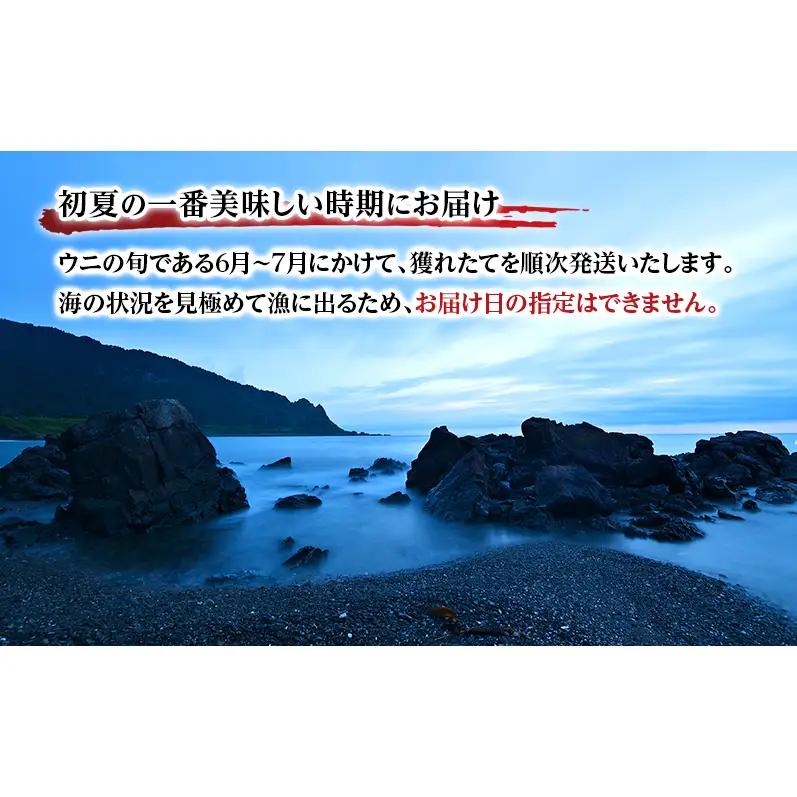 6～7月発送/先行予約 オホーツク枝幸 エゾバフンウニ 塩水パック100g［六三海］濃厚な甘みととろける食感【 うに 雲丹 バフンウニ 塩水うに ミョウバン不使用 期間限定 高級 魚介類 海の幸 北海
