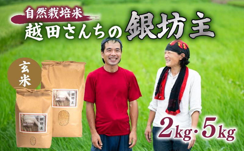 
                  令和7年産 玄米 2kg 5kg 銀坊主 希少品種 自然栽培米 | 香ばしさ 甘さ 懐かしい 農薬 肥料 不使用 希少 貴重 高級 数量限定 自然栽培 コシヒカリ 親世代 お米 オコメ コメ おこめ こめ 石川 石川県 羽咋市 羽咋 能登 自然栽培米 【越田さんちの銀坊主】
                