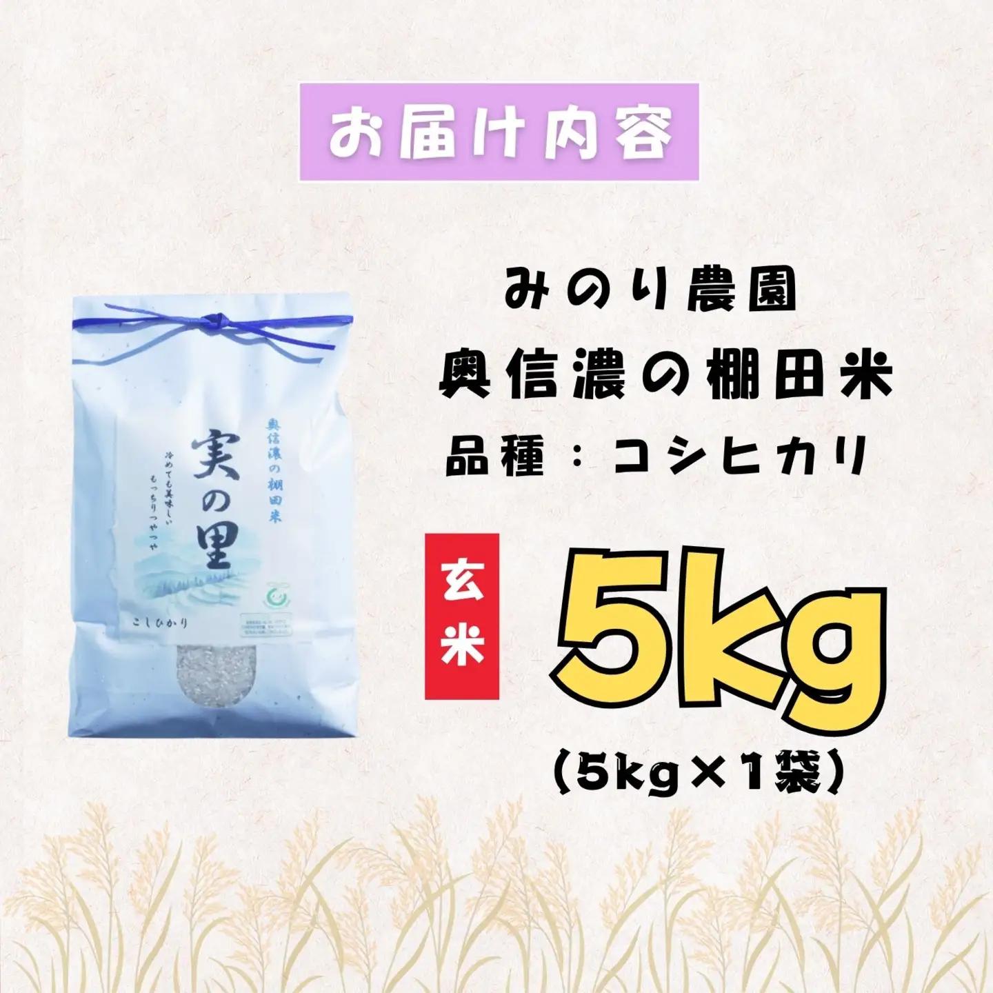 【新米予約】 特別栽培米 こしひかり 玄米 5kg 『奥信濃の棚田米 実の里』