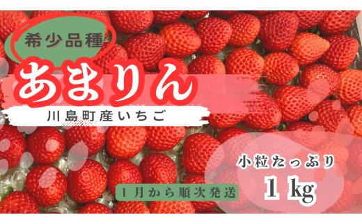 【希少あまりん】朝採れ！いちごあまりん１kg  どらちゃん農園　人気 あまりん 小粒たっぷり 希少国産 埼玉県 川島町産 完熟いちご 期間限定