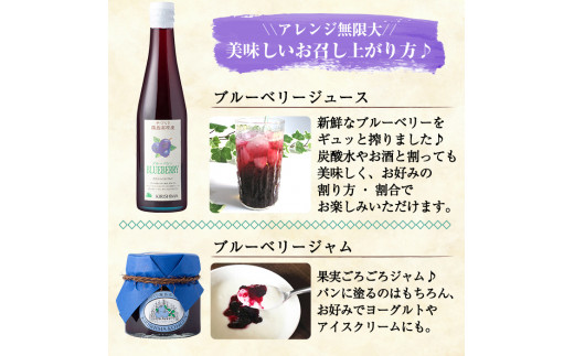 A-041 ブルーベリージュース・ジャムセット【ふきのとう】