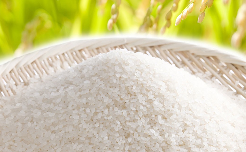 【令和7年産】たとみ農園のお米ヒノヒカリ 2kg