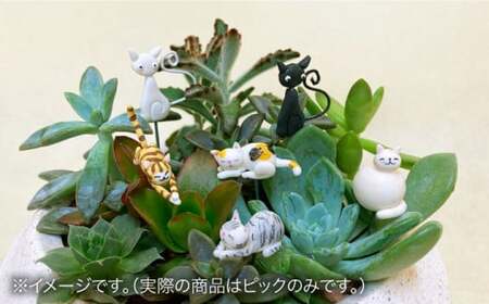 【暮らしにお花を】ねこが好き 6点セット＜フラワーデザイン・アドニス＞那珂川市  8000 8000円 [GBN004]