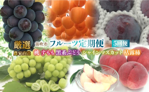 ＜25年発送先行予約＞笛吹市産　厳選!農家直送「フルーツ定期便5回便」 205-013