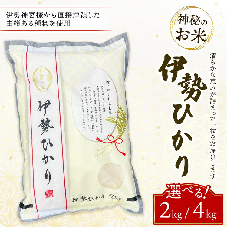 【ふるさと納税】【選べる内容量】令和7年度産 伊勢ひかり 精米（2kg・4kg） | 米 お米 こめ おこめ 2キロ 4キロ 国産 ご飯 ごはん 白飯 白米 産地直送 栃木県 鹿沼市
