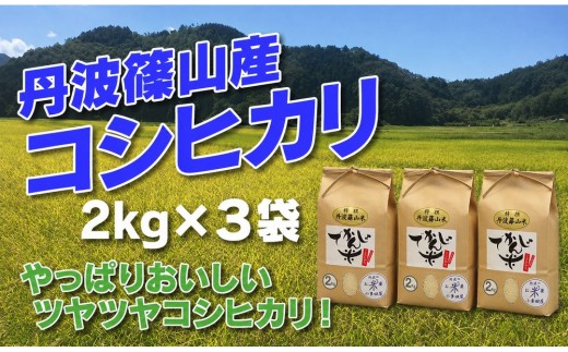 新米予約【令和8年産】お米のおいしさ伝えたい！でかんしょ米 2kg×3袋　丹波篠山産コシヒカリ