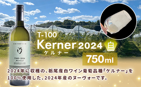 24-07T100 ワイン720ml×2本セット【ワインファームとちお】