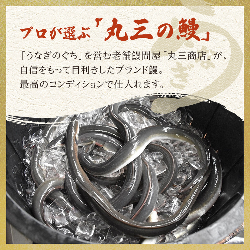 国産うなぎ 関西風 蒲焼き 4尾 セット 詰め合わせ 国産 うな