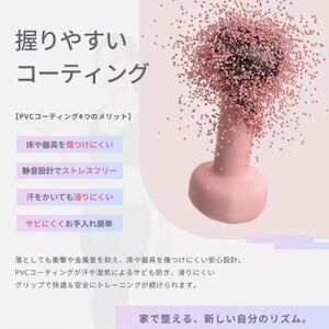 【＆Less FITT】カラーダンベル グレー 4kg トレーニング フィットネス【1715599】