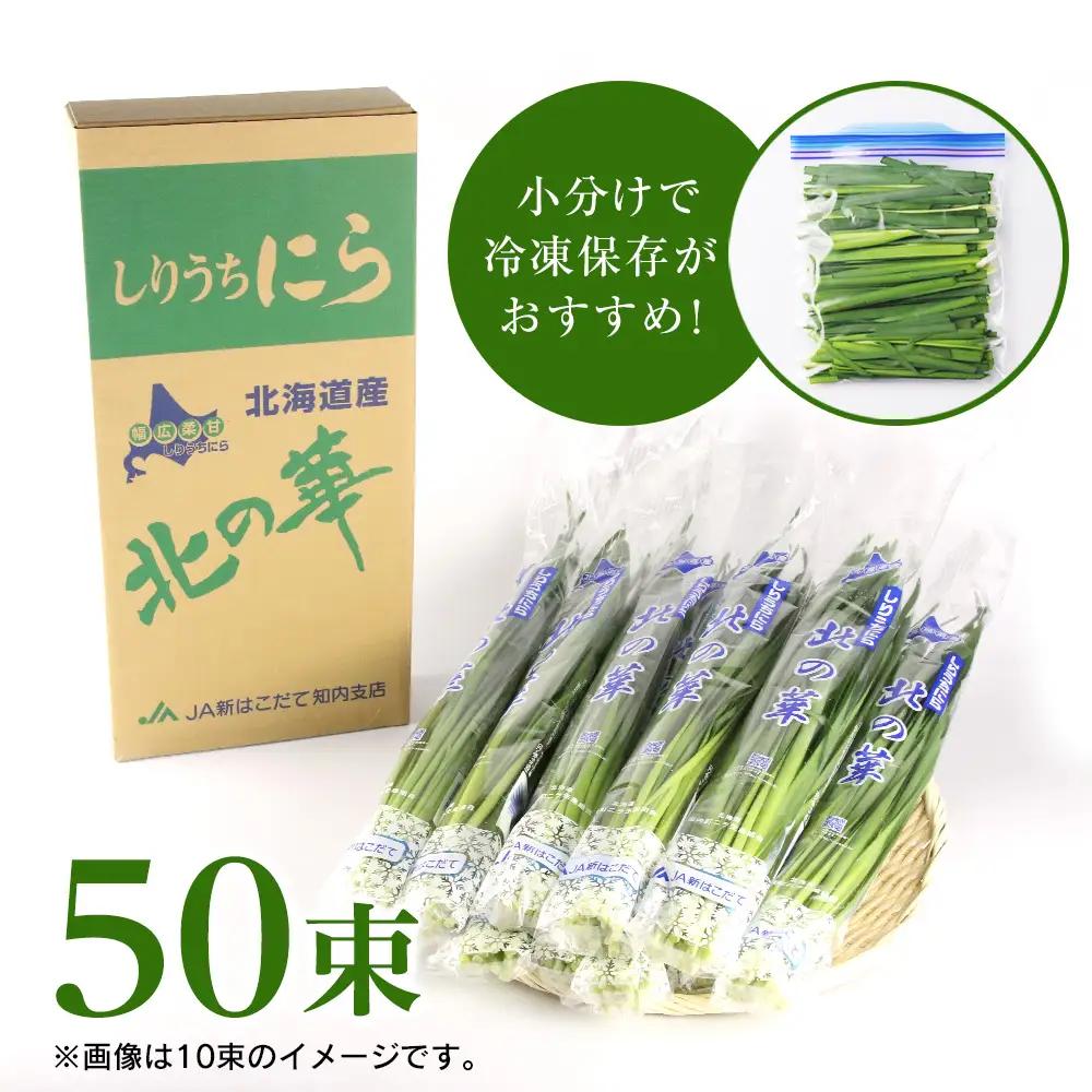 【2027年発送予約】 しりうちにら北の華 50束【JA新はこだて】